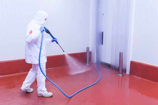Spring Cleaning in Boerne, TX